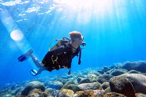 ScubaDiverse Tenerife - individual PADI diving courses and fun dives. Introvert friendly image