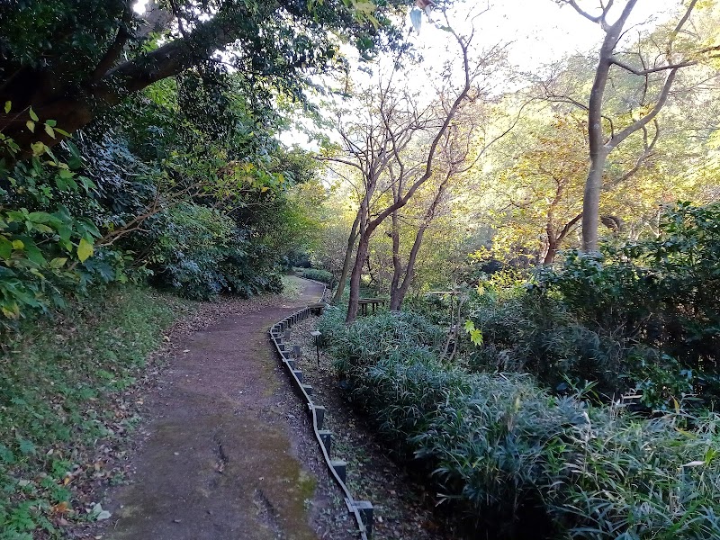 夫婦池公園 森のさんぽみち