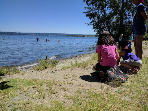 Park «Matthews Beach Park», reviews and photos, 5100 NE 93rd St, Seattle, WA 98115, USA