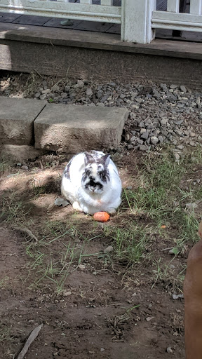 Farm «B & B Flower Farm», reviews and photos, 668 Jones Hill Rd, West Haven, CT 06516, USA