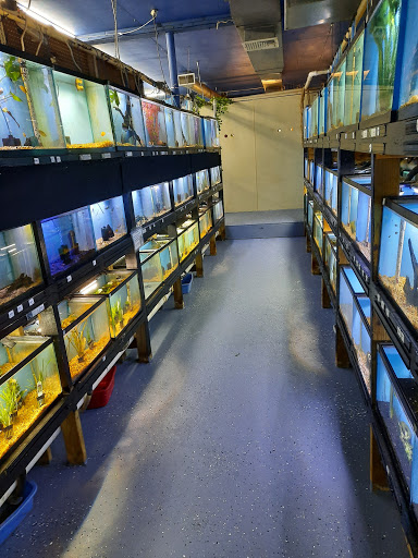 Pet Store «Fins Feathers Paws & Claws», reviews and photos, 436 Main St, Harleysville, PA 19438, USA