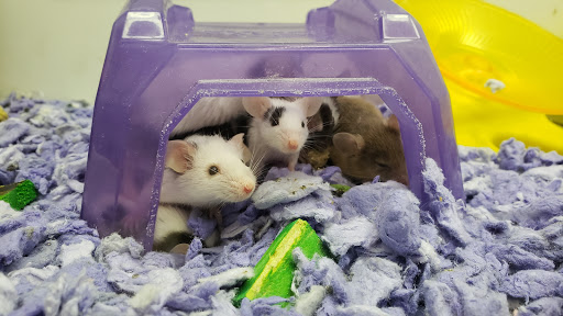 Pet Supply Store «Petco Animal Supplies», reviews and photos, 801 W Lake Ave, Peoria, IL 61614, USA