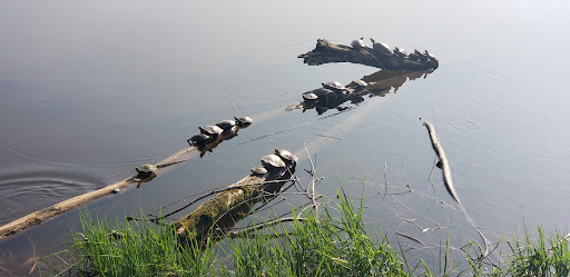 Golf Course «Island Lake Golf and Training Center», reviews and photos, 1000 Red Fox Rd, Shoreview, MN 55126, USA