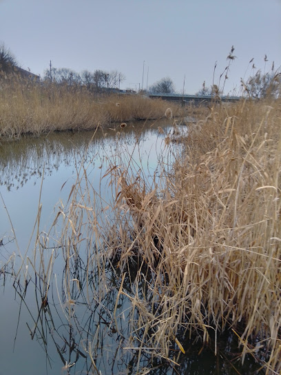 Новомиргородський центр зайнятості