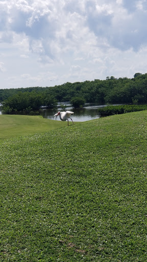 Public Golf Course «Crandon Golf at Key Biscayne», reviews and photos, 6700 Crandon Blvd, Key Biscayne, FL 33149, USA