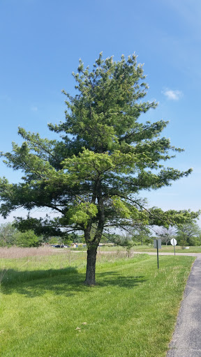 Nature Preserve «Oakhurst Forest Preserve», reviews and photos, 1680 5th Ave, Aurora, IL 60504, USA