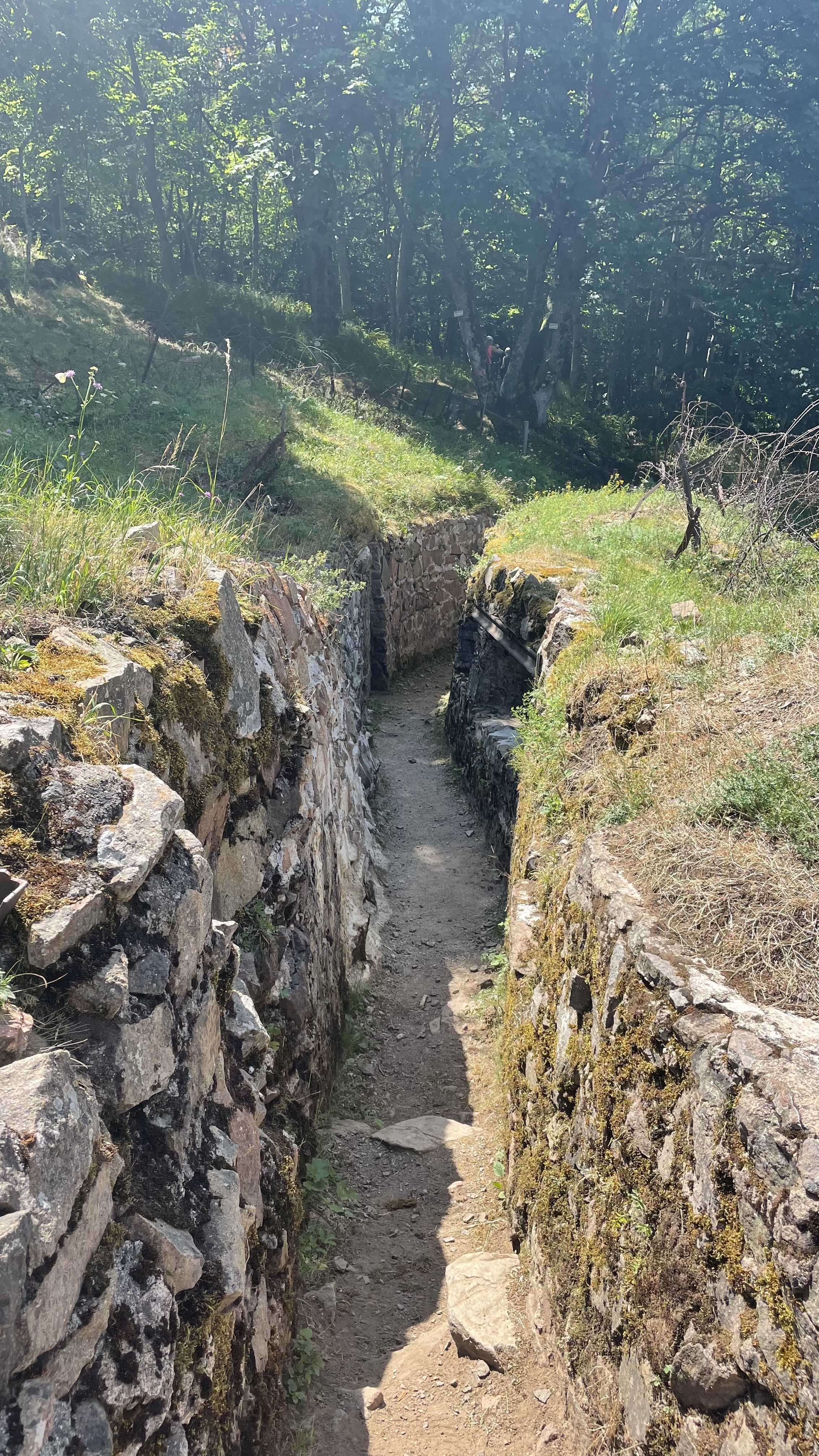 Photo n° 17 de l'avis de Wendelien.i fait le 24/07/2022 à 19:04