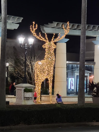 Computer Store «Apple St. Johns Town Center», reviews and photos, 4835 River City Dr, Jacksonville, FL 32246, USA
