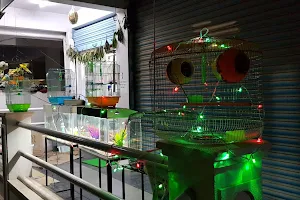 Hobby Lounge Aquarium & Pet Store image