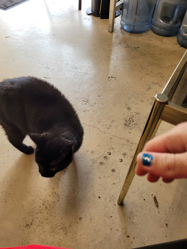 Auto Repair Shop «Palm Coast Auto Repair», reviews and photos, 11 Hargrove Grde, Palm Coast, FL 32137, USA