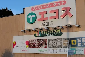 Shirosato Shopping Plaza image