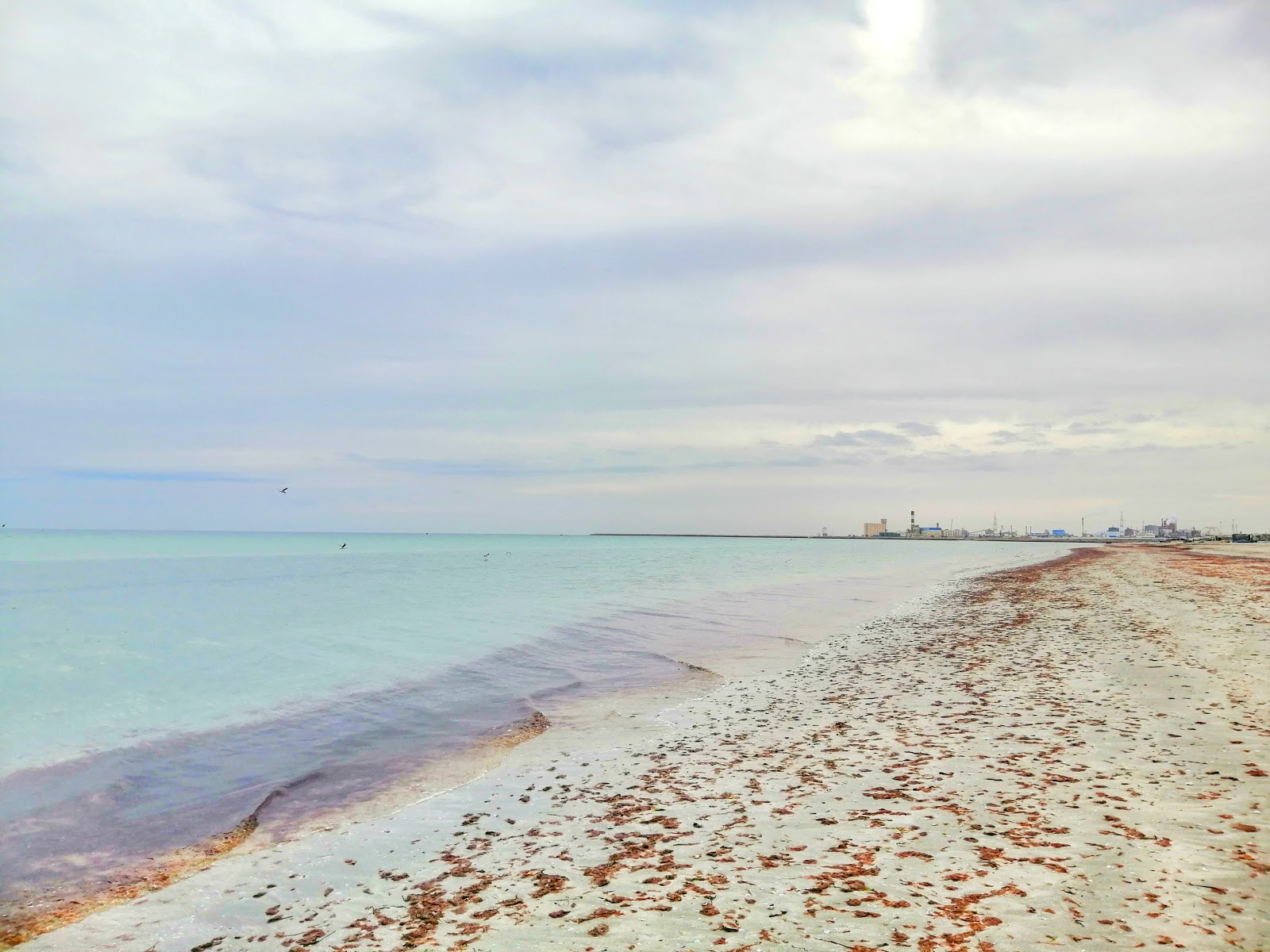 Foto av D'Oudref II beach med vit sand yta