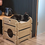 Photo n°1 de l'avis de Jessica.i fait le 14/07/2022 à 03:22 sur le  Katzentempel Leipzig Mitte à Leipzig