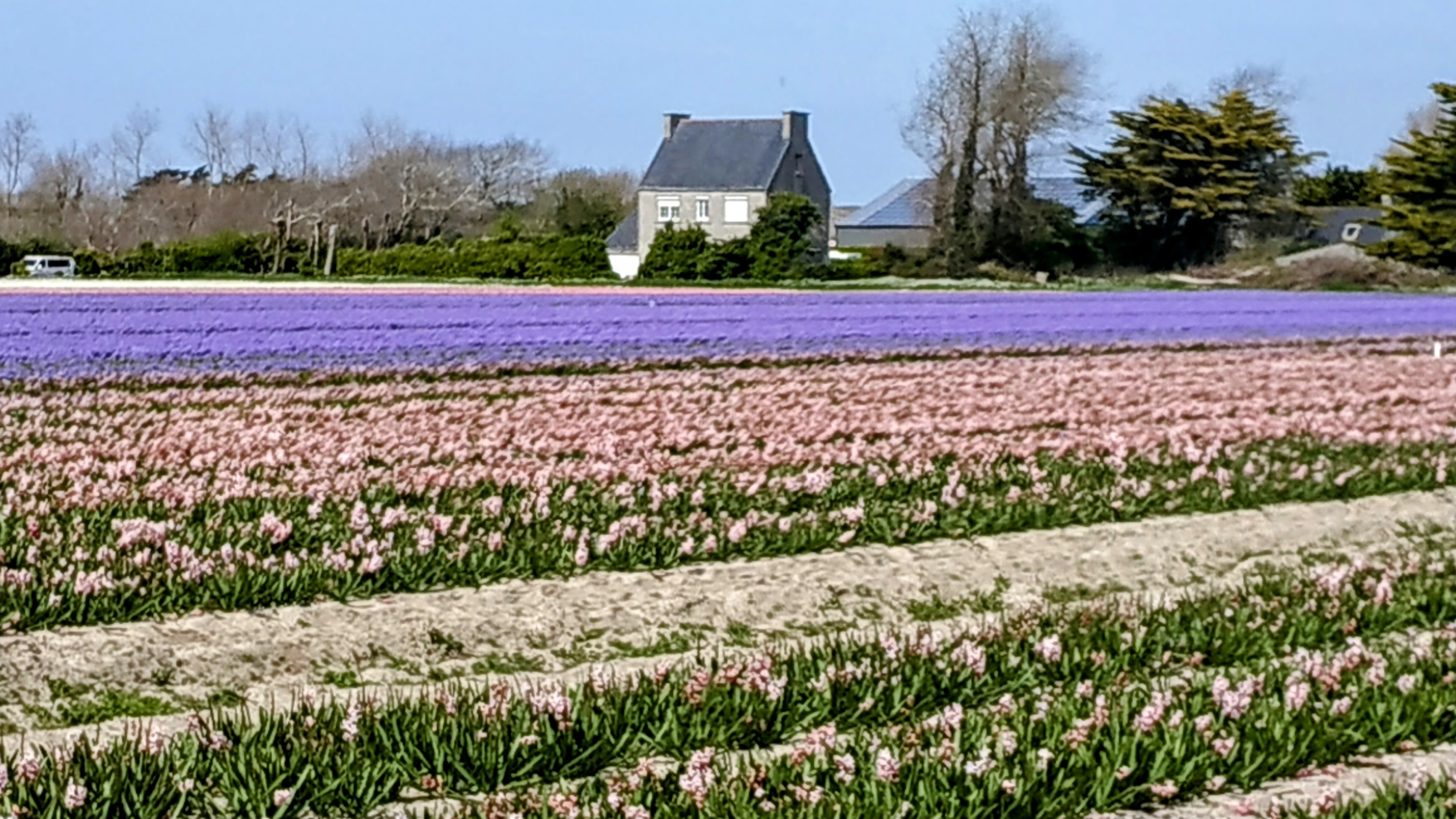 Photo n° 7 de l'avis de The.a fait le 05/04/2023 à 21:57