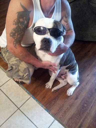 Pet Store «Petsway», reviews and photos, 1717 W Kearney St, Springfield, MO 65803, USA