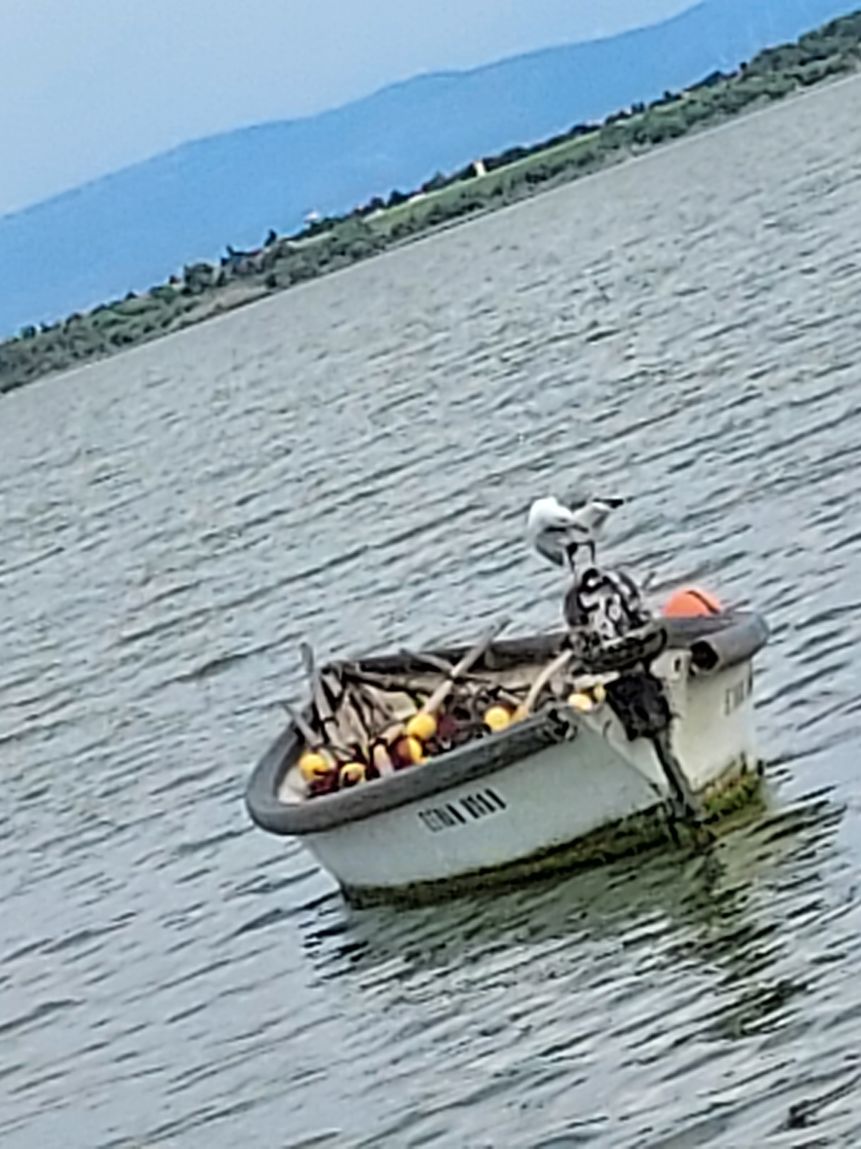 Photo n° 14 de l'avis de Descelliere.a fait le 18/06/2023 à 10:34