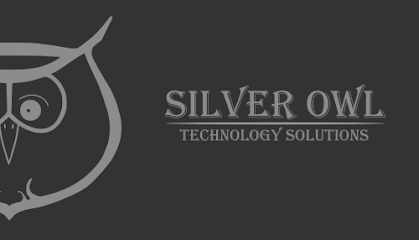 Silver Owl Technology Solutions