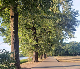 Volkspark Dutzendteich photo