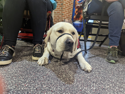 Hockey Rink «Giant Center», reviews and photos, 550 Hersheypark Dr, Hershey, PA 17033, USA