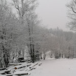 Photo n°4 de l'avis de Roberta.r fait le 10/12/2023 à 09:39 sur le  Agribenessere agli abatti à Barge