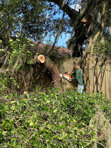 Salva's Tree Cutting Service