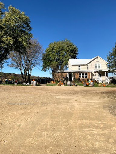 Winery «Galena Cellars Vineyard», reviews and photos, 4746 N Ford Rd, Galena, IL 61036, USA