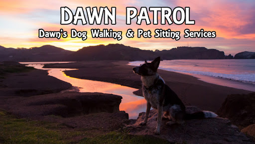 Dawn's Dog Walking & Pet Sitting