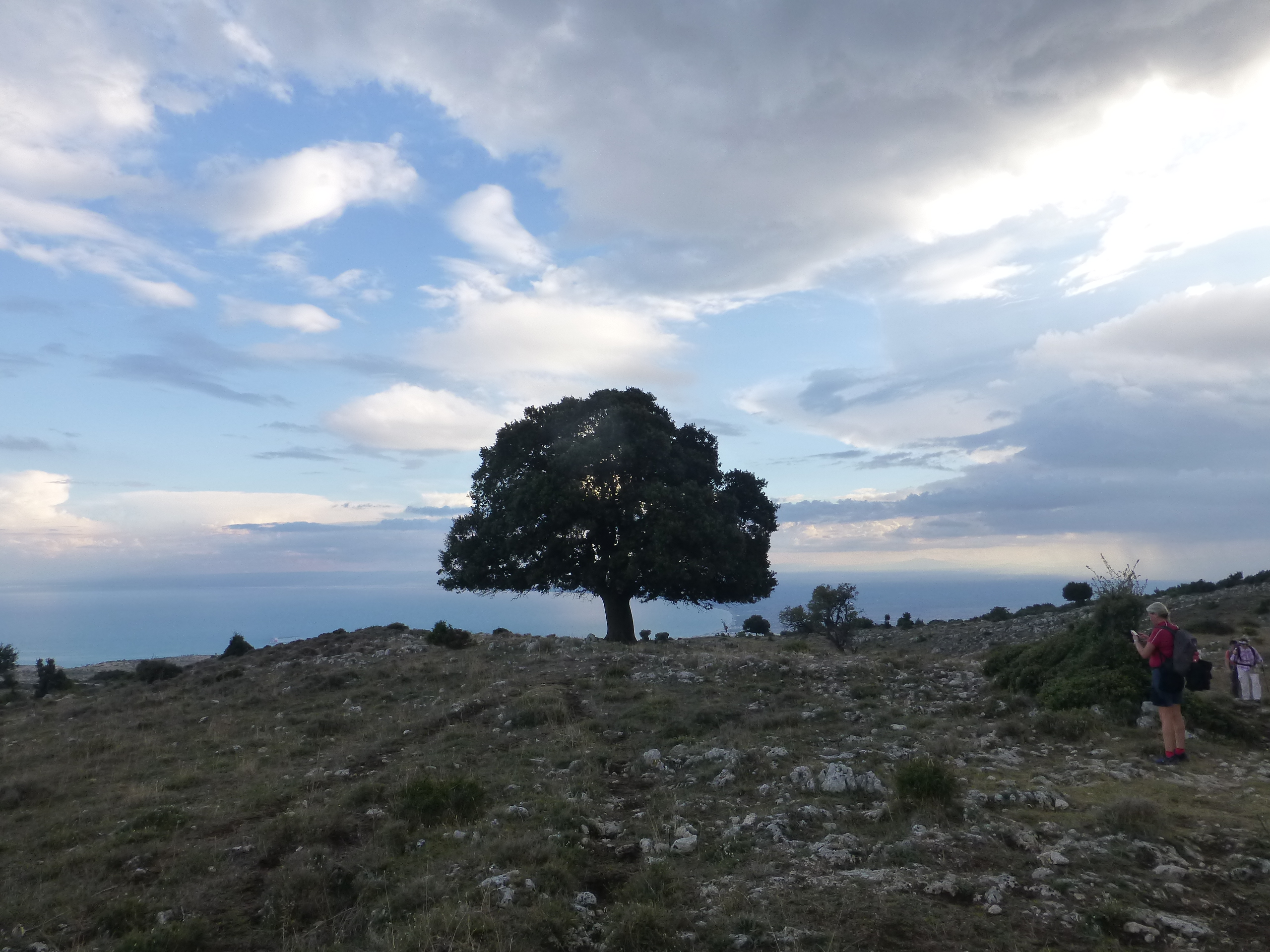 Photo n° 6 de l'avis de Olivia.i fait le 24/10/2018 à 18:11