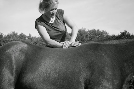 Tierchiropraxis - Dr. med. vet. Christiane Hagen unter Bendestorf, 