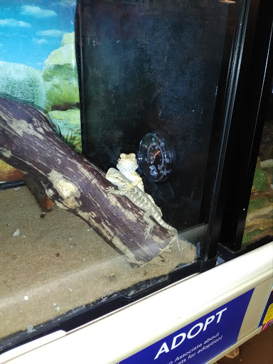 Pet Supply Store «PetSmart», reviews and photos, 104 TX-332, Lake Jackson, TX 77566, USA