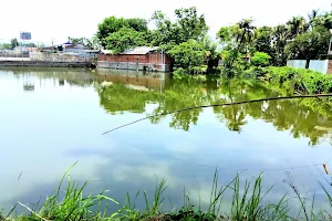 Pond image