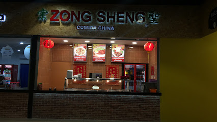 Comida china ZONG SHENG