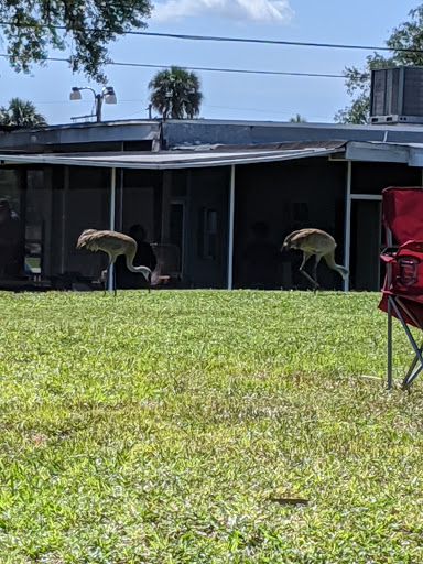 Bar «Buckingham Bar», reviews and photos, 5641 Buckingham Rd, Fort Myers, FL 33905, USA