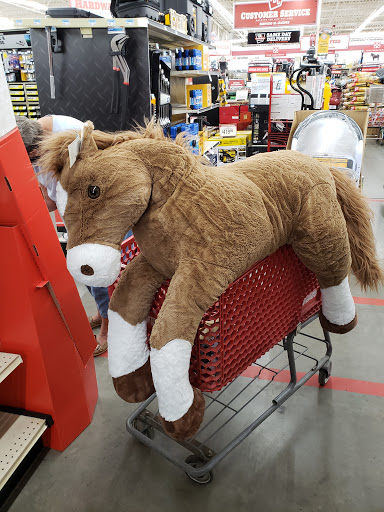 Home Improvement Store «Tractor Supply Co.», reviews and photos, 860 Jack Tone Rd, Ripon, CA 95366, USA