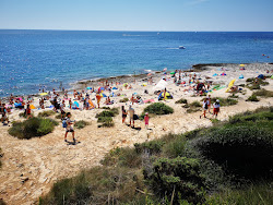 Φωτογραφία του Cliff jump παροχές περιοχής