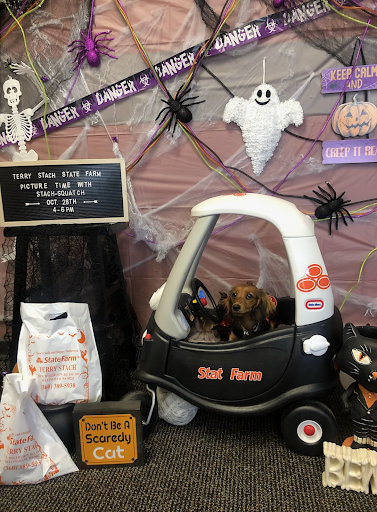 Insurance Agency «Terry Stach - State Farm Insurance Agent», reviews and photos