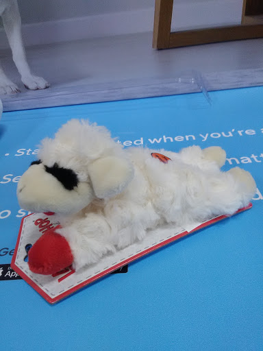 Pet Supply Store «PetSmart», reviews and photos, 10697 E US Hwy 36, Avon, IN 46123, USA