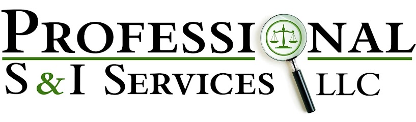 Professional S&I Services LLC
