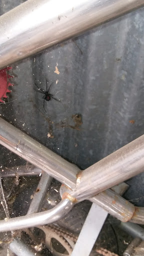 Self-Storage Facility «Stor-Mor Mini-Storage», reviews and photos, 767 Kiley Ave, Yuba City, CA 95991, USA