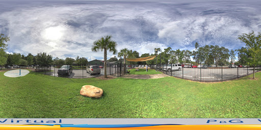 Animal Protection Organization «Charleston Animal Society», reviews and photos