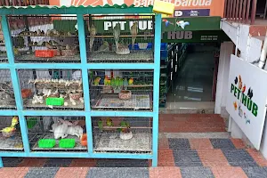 Pet hub image