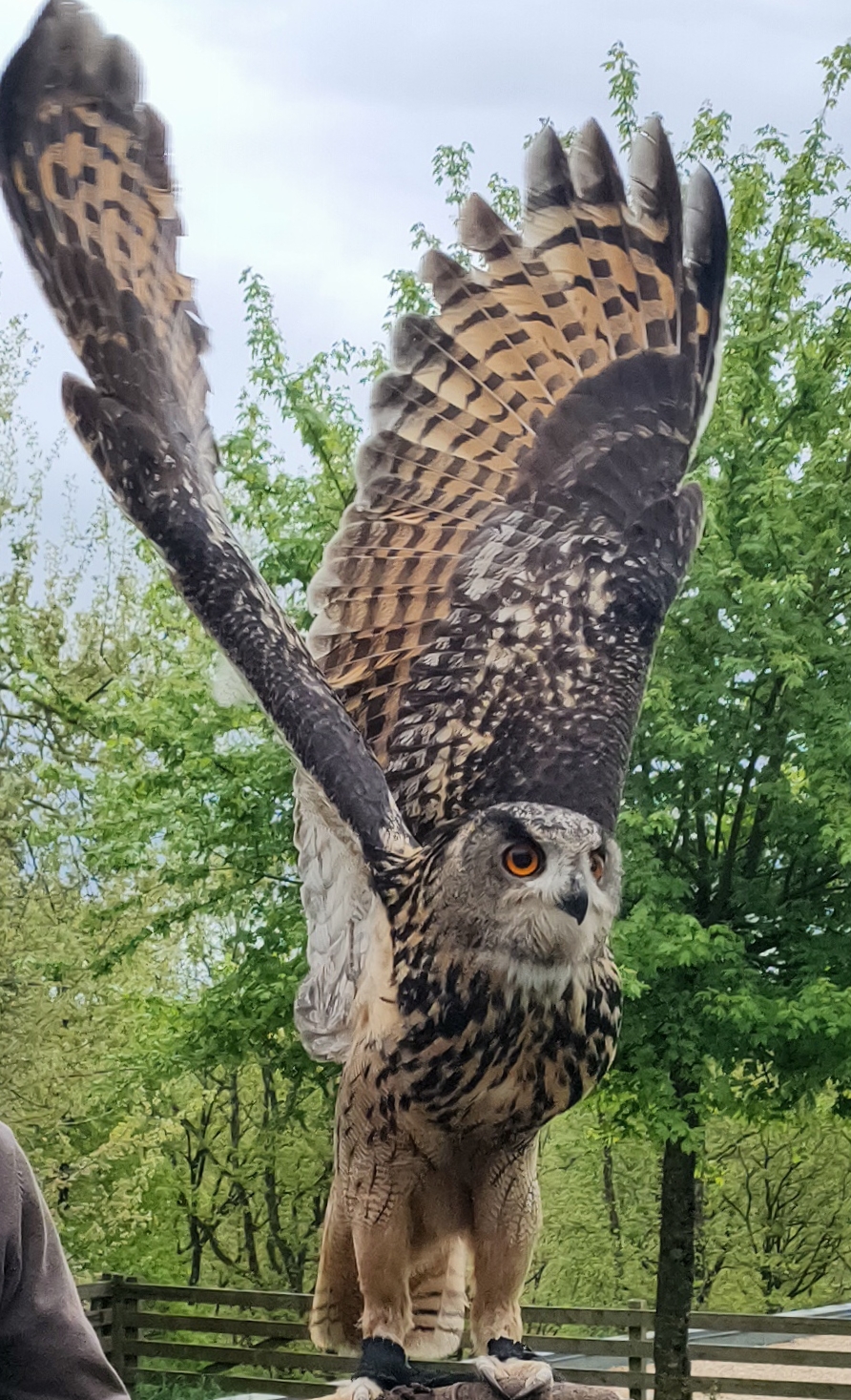 Photo n° 1 de l'avis de Celine.h fait le 06/05/2023 à 15:19