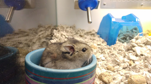 Pet Supply Store «Petco Animal Supplies», reviews and photos, 1350 S Ironton St #120, Aurora, CO 80012, USA