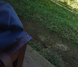 Kebun ESPE photo