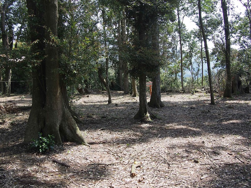 清色城 求聞持城跡