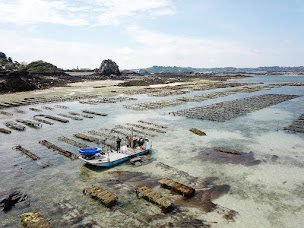 Photo n°16 de Viviers Dauphin à Ploubazlanec ()