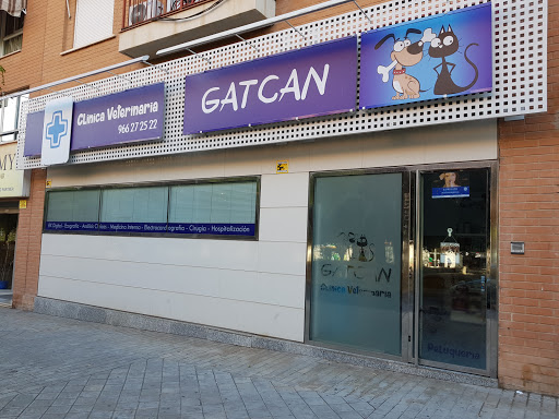 Gatcan, Clínica veterinaria Alicante