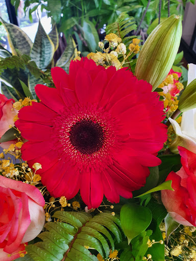 Florist «Florist 24 hrs / Fresh Flowers same day / Events», reviews and photos, 7760 NW 44th St, Sunrise, FL 33351, USA