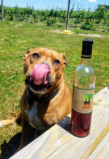 Winery «Monroeville Vineyard & Winery», reviews and photos, 314 Richwood Rd, Monroeville, NJ 08343, USA