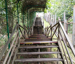 KWPLH BALIKPAPAN (Sun Bear Conservation) photo